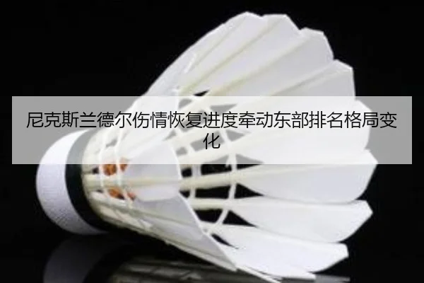 尼克斯兰德尔伤情恢复进度牵动东部排名格局变化