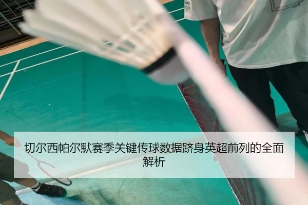 切尔西帕尔默赛季关键传球数据跻身英超前列的全面解析