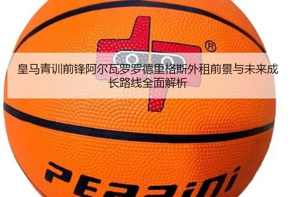 img_1781977516418_3090_1_831.jpg